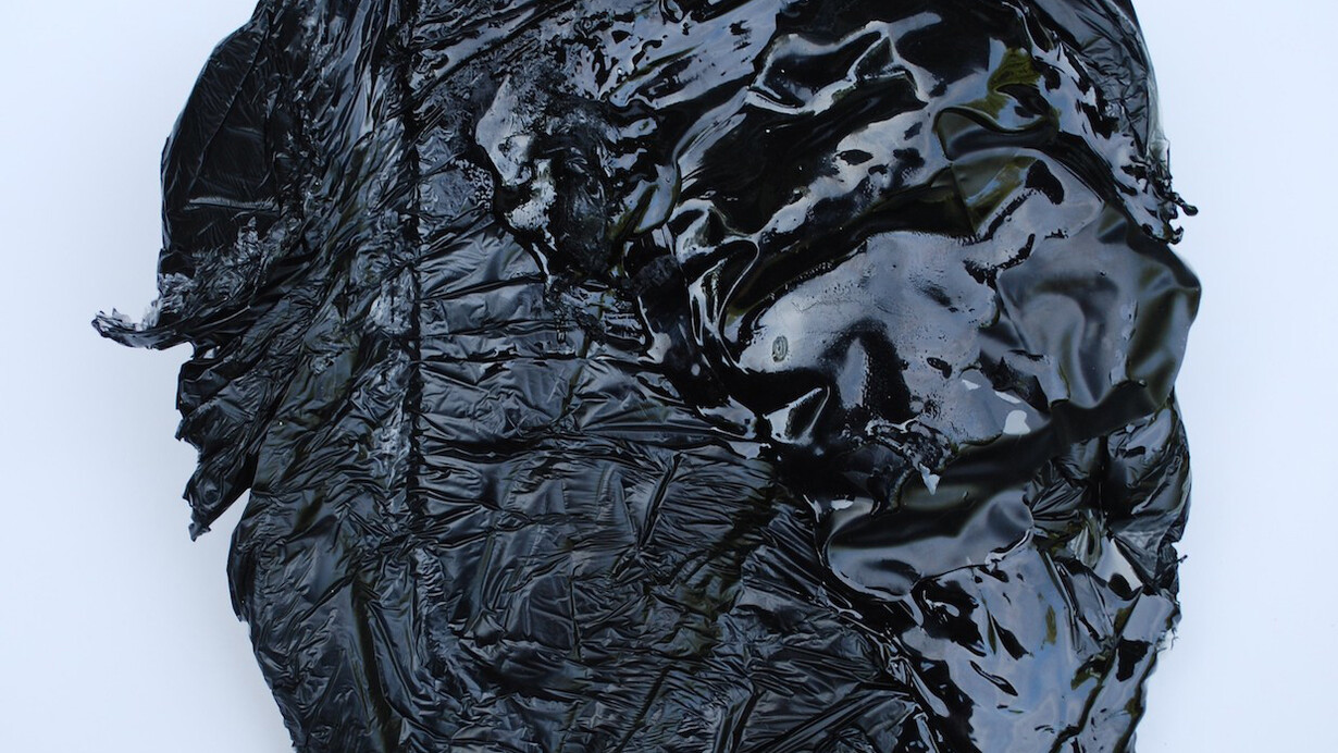 John Tallman, Merel, 2015, pigmented urethane plastic, 10.5”x10”