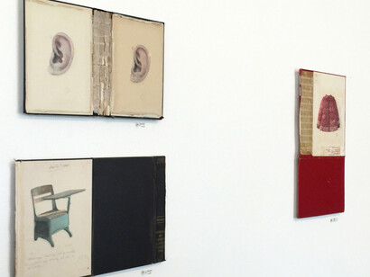 Aida Gamez and Daniel McClain, Exhibiition view. Courtesy of Transmission Gallery