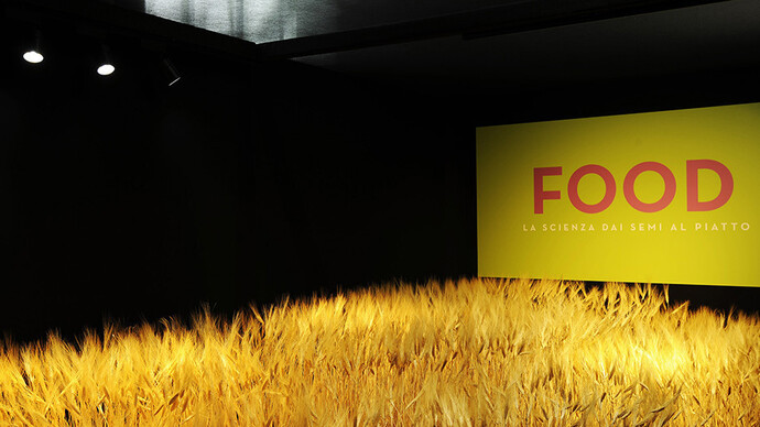 Food. Science from seeds to supper, Museo Civico di Storia Naturale, Milano. Ph: Fabrizio Stipari/24Ore Cultura
