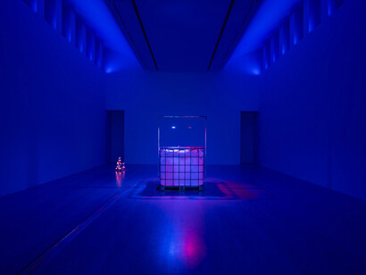 Trevor Yeung, Underwater haze, exhibition view. Courtesy of Kestner Gesellschaft