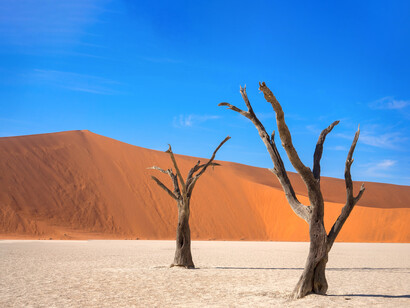 Climate change: the biggest difficulty governments face is balancing the protection of the environment against economic activity