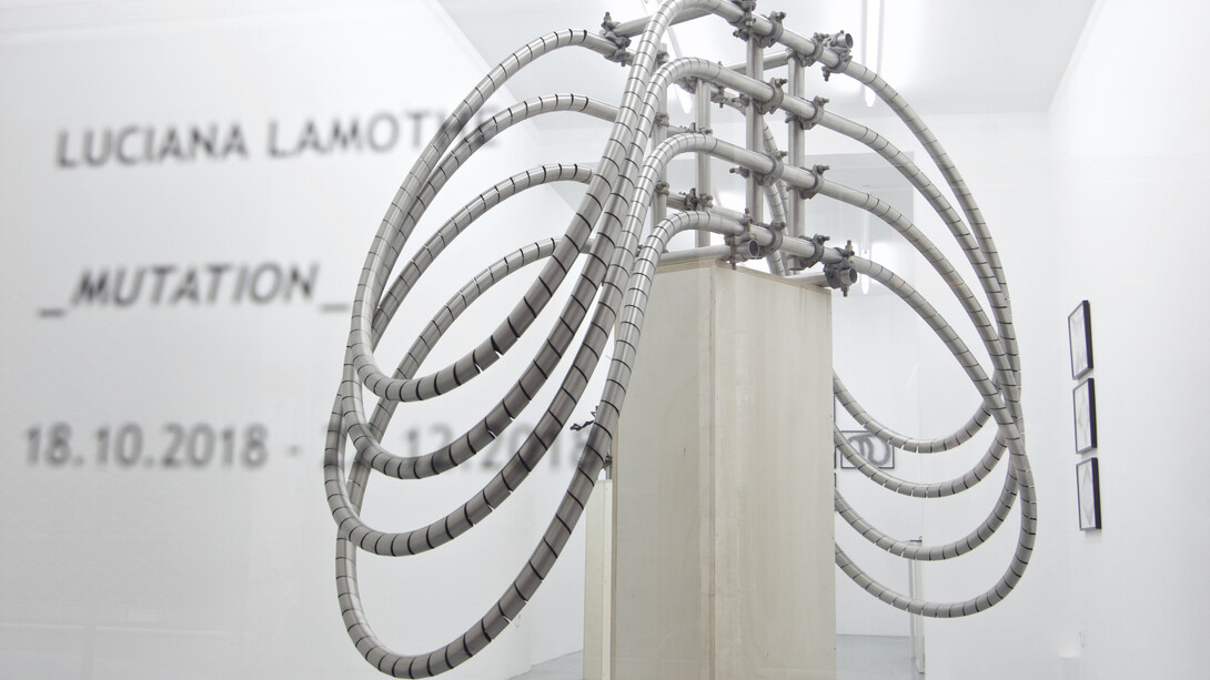 Luciana Lamothe. Courtesy of Alberta Pane