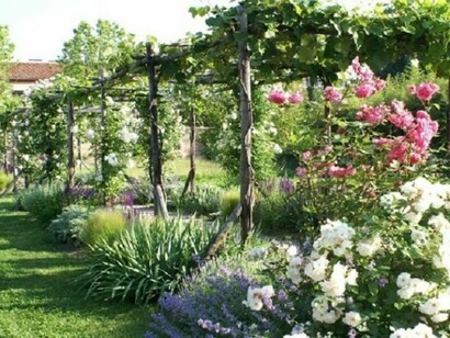 Il roseto