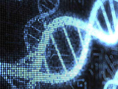 Bioinformática