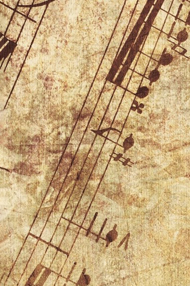 Cerró los ojos y leyó en su mente la partitura