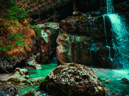 Residentes costarricenses perciben beneficios personales como interactuar con la vida silvestre