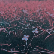 Sanghyuk Kim, Clover (detail), 2024. Courtesy of Enseoul Gallery