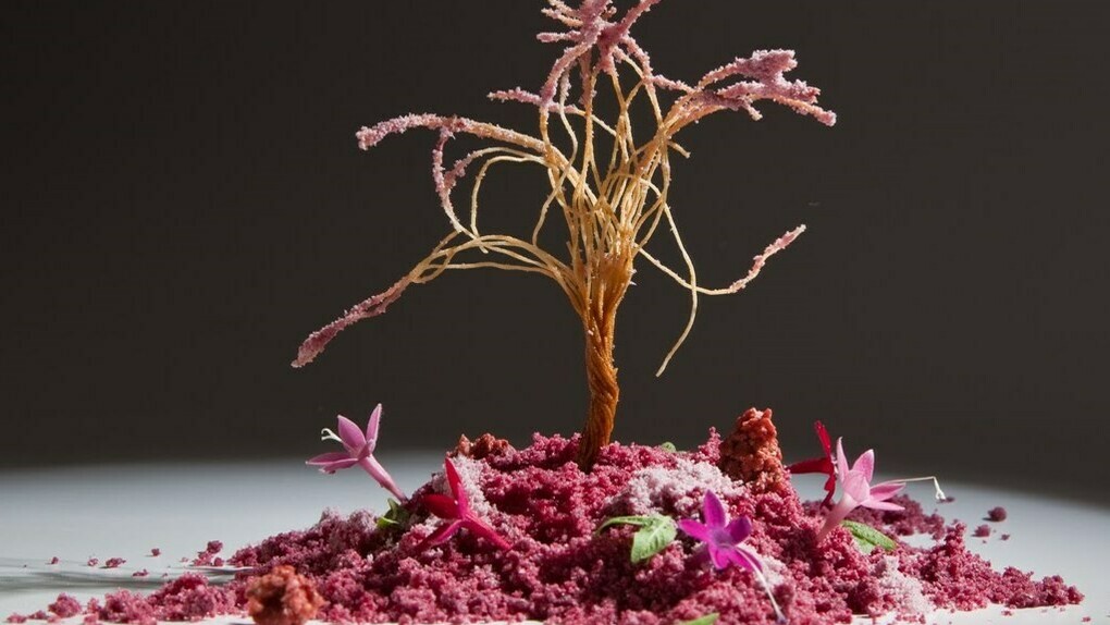 Cerezo en flor, una reinterpretación de la paella por el chef Quique Dacosta