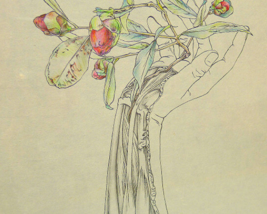 Hammer Projects: Tabaimo. Courtesy of Hammer Museum 