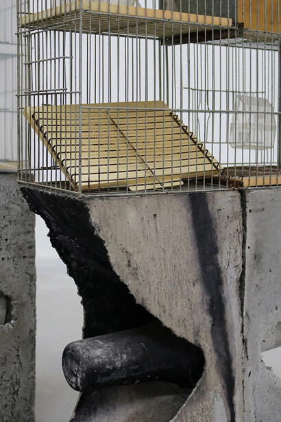 Pablo Capitán del Río, La otra selva, vista de exhibición. Cortesía de Art Nueve