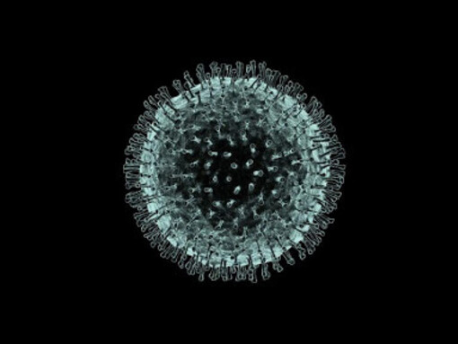 Nella medicina delle cause, il virus al massimo è il giustiziere finale ma non il capolinea della diagnosi