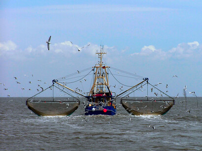 El barco bolichera de trescientas cincuenta toneladas y cámara frigorífica había repostado y se encontraba listo a partir desde un puerto neoyorquino