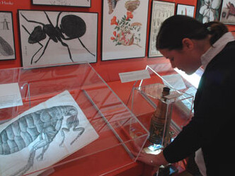 Beautiful Science. Courtesy of The Huntington