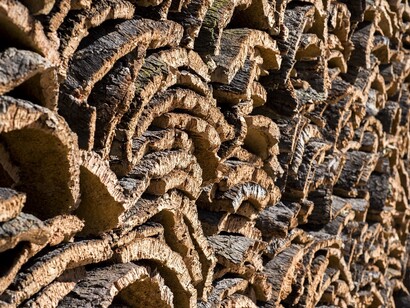 Il sughero durante l'essiccazione
