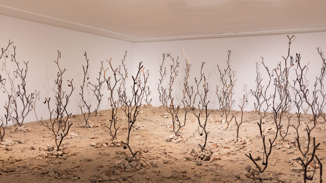 Kader Attia, Intifada: los rizomas interminables de la revolución, 2016. Courtesy of Centro Andaluz de Arte Contemporáneo. Photo by Pablo Ballesteros