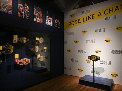 Martial arts, exhibition view. Courtesy of Wereldmuseum