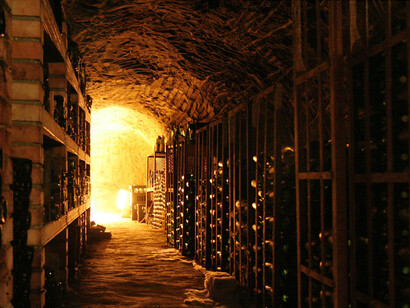 Wine cellar