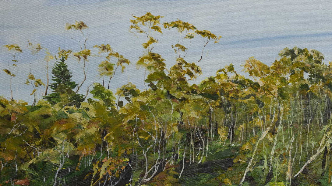 Seeing this place, artwork in exhibition (detail). Courtesy of Salamanca Arts Centre 