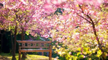 Primavera–Loggia Legno 