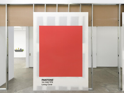 Haim Steinbach. Courtesy of Tanya Bonakdar Gallery