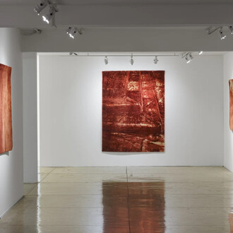 Marcos Chaves, Sangue azul, vista da exposição. Cortesia da Galeria Nara Roesler