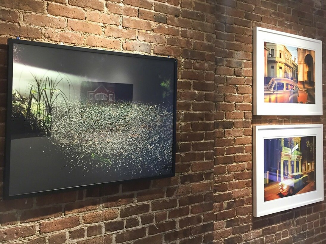 Vroom Vroom Beep Beep, Exhibition view. Courtesy of Susan Eley Fine Art