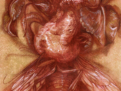 Miguel Hernández Bastos; Metamorfosis de las plantas, 1998 (detalle)