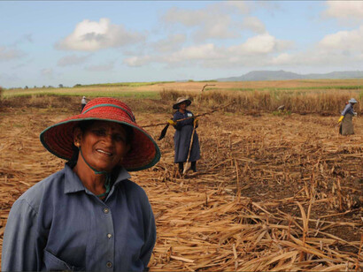 Pablo Bartholomew. Agricultores indianos