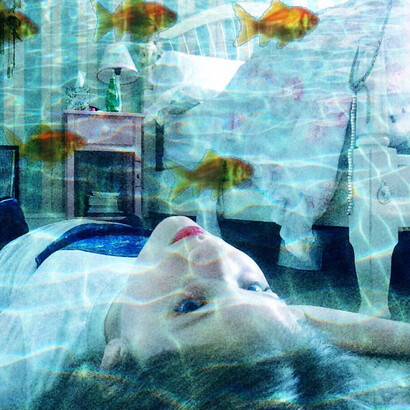 Kaia Miller, Goldfish Dreams, 2015, digital media