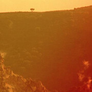 Basim Magdy. Courtesy of MAAT