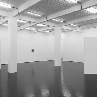 Jannis Marwitz, The directionality of fur, exhibition view. Courtesy of Trautwein Herleth Gallery
