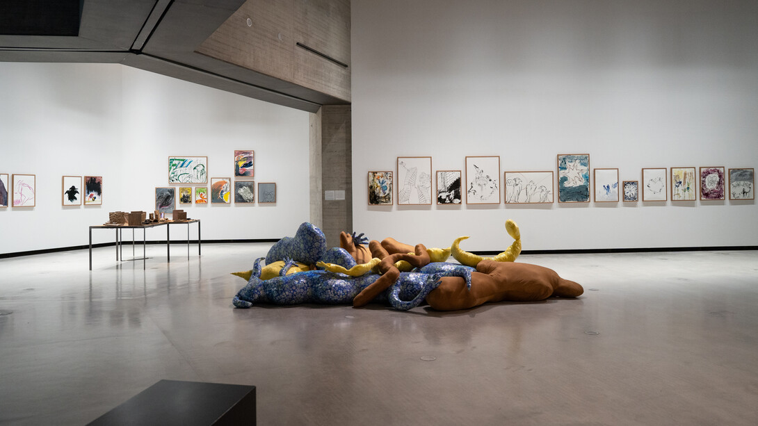 Cecilia Bengolea, El ruido que habita, vista de exhibición. Cortesía del artista. C3A. Fotografía por XX