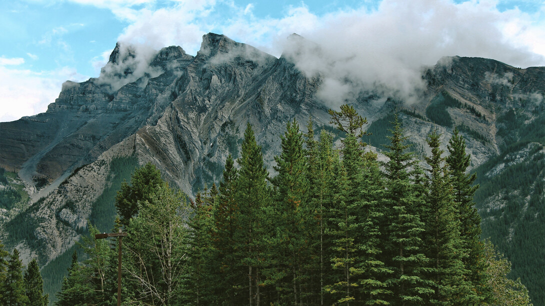 Clouds partly cover a mountain range that serves as the backdrop to a lush pine forest