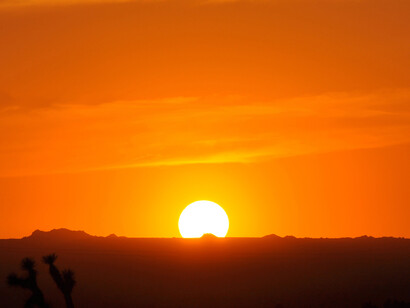 Ci sono specie sensibili ai cambiamenti di temperatura che soffrirebbero molto ondate di calore intense