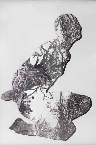 Reza Aramesh, Action 143-1, 2015, B&W print on fiber paper, mounted on archival board and framed in walnut wood, 68 x 50 x 2.5 in, Edition of 3, 1AP. Photo by Brian Buckley