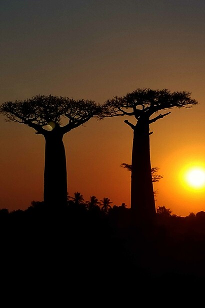 Le persone spesso non riescono a realizzarsi perché rimangono incastrate nel vortice familiare