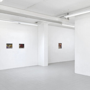 Natalia González Martín, Fruta y media tarde, exhibition view. Courtesy of Galerie Sébastien Bertrand