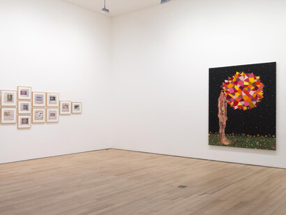 Fred Tomaselli, Installation view