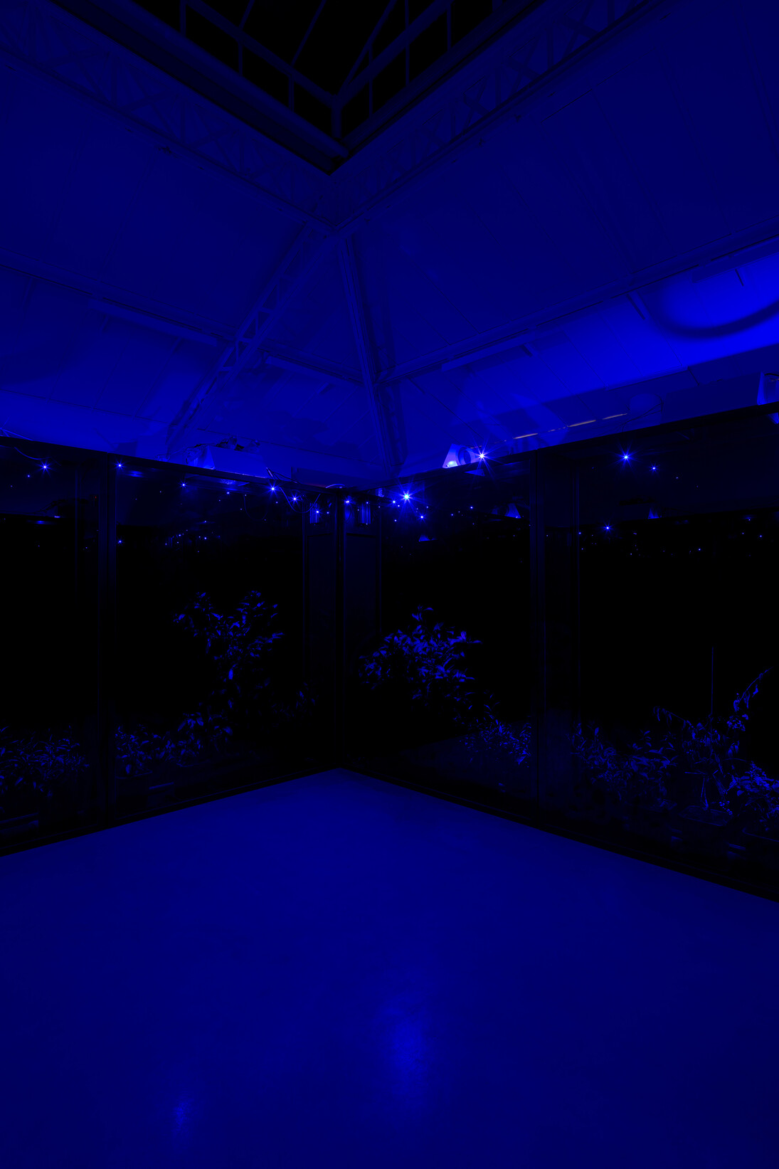 Hicham Berrada, Azur, 2014-2015, 300 g Arche paper on frame, cobalt chloride, resistance, glass, 60 x 50 x 19 cm, - Celeste, 2014, Color video. Grey sky, sky blue smoke, 5 min 55 s, View of the exhibition "Paysages a circadiens", kamel mennour (6 rue du Pont de Lodi), Paris, 2015 © Hicham Berrada © Photo. Fabrice Seixas, Courtesy the artist and kamel mennour, Paris