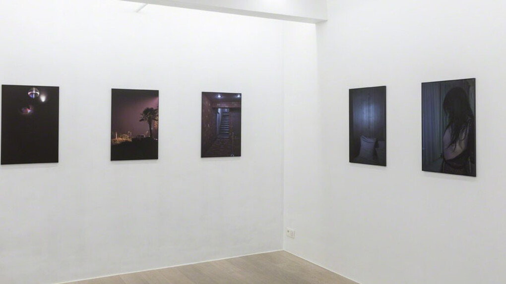 Peter Waterschoot. Courtesy of Galerie Zwart Huis