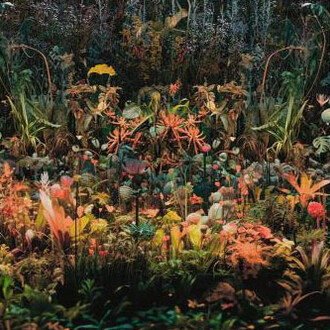 Mary Mattingly, Magnetic field (detail), 2023. Courtesy of MFA