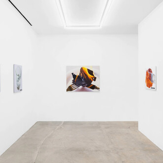 Kaoru Ueda, exhibition view. Courtesy of Nonaka-Hill Gallery