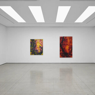 Michele Fletcher, Aftertime, exhibition view. Courtesy of White Cube