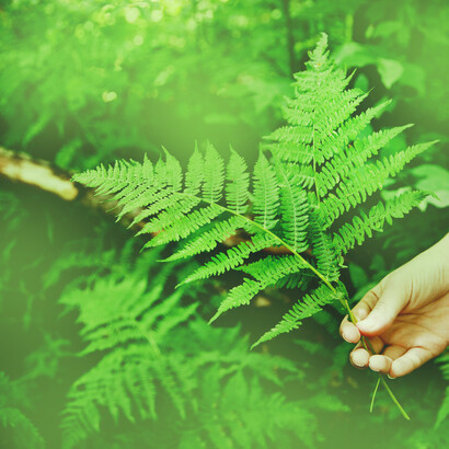 Partha Dasgupta concludes that rather than economists, people must learn about biodiversity