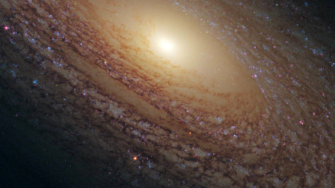 Mientras tanto, el yo sigue ahí: en su centro inexistente