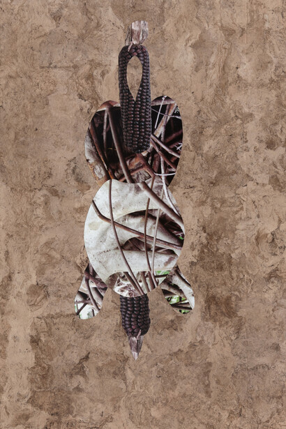 Seeds. Reclaiming roots, sowing futures. Courtesy of Kunst Haus Wien 