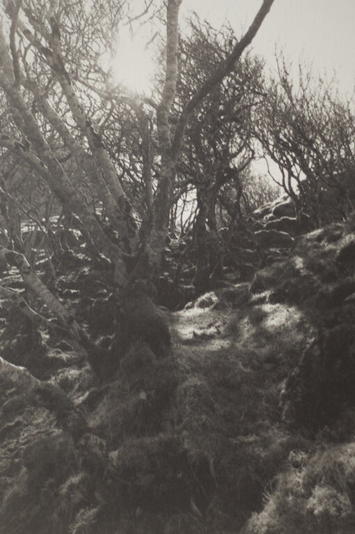 Julia Rushton