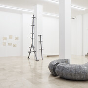 Ana Lupas, Armature, exhibition view. Courtesy of P420 