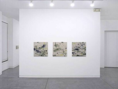 Shinpei Kusanagi, so far so close, Installation views