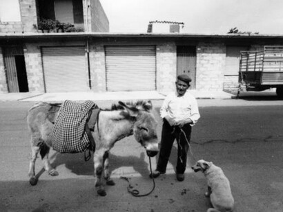 In Sardegna: 1974, 2011